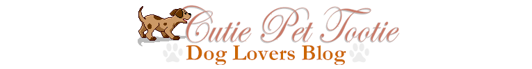 Dog Lovers Blog